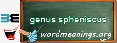 WordMeaning blackboard for genus spheniscus